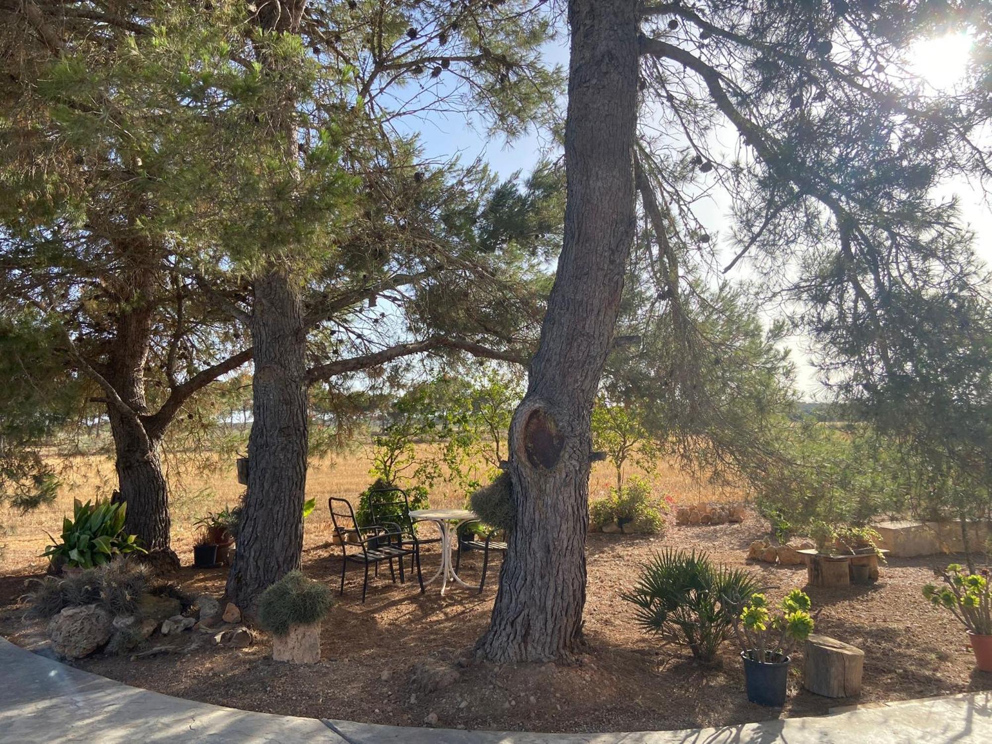 Ca Na Brila Villa Campos  Bagian luar foto