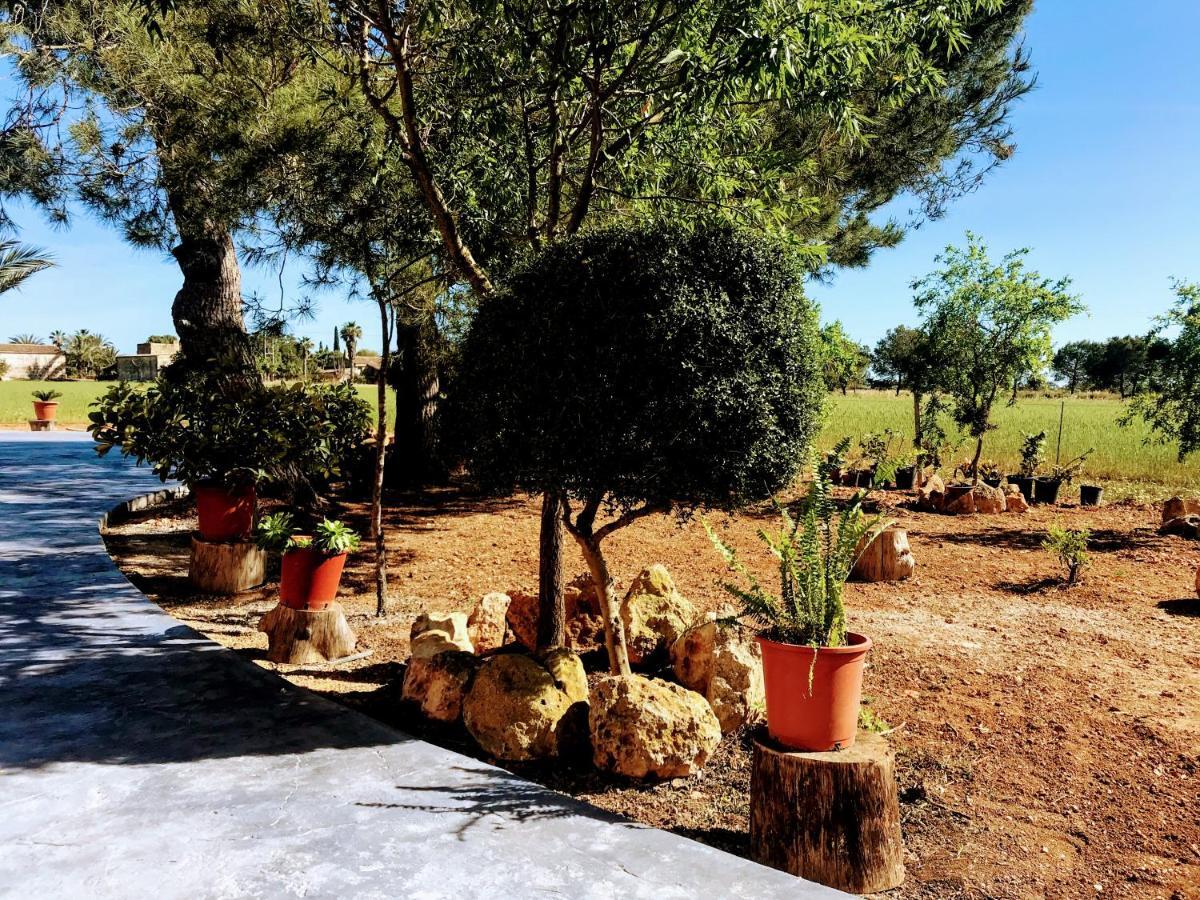 Ca Na Brila Villa Campos  Bagian luar foto